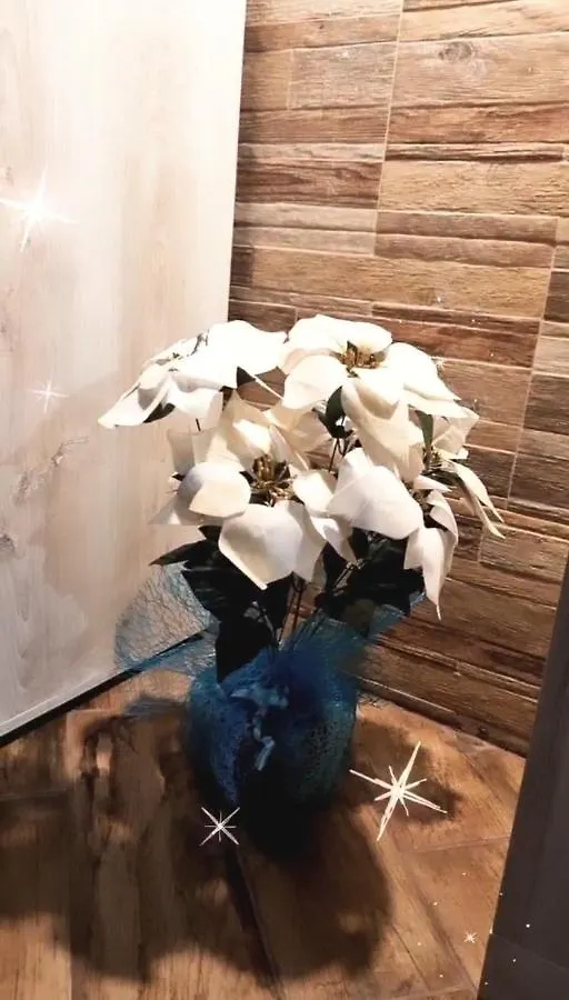 شقة Trinacria كاتانيا